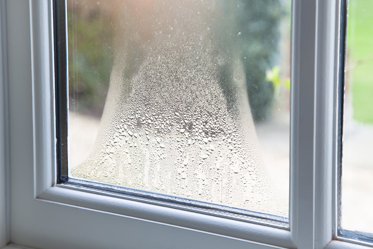 condensation on window pane