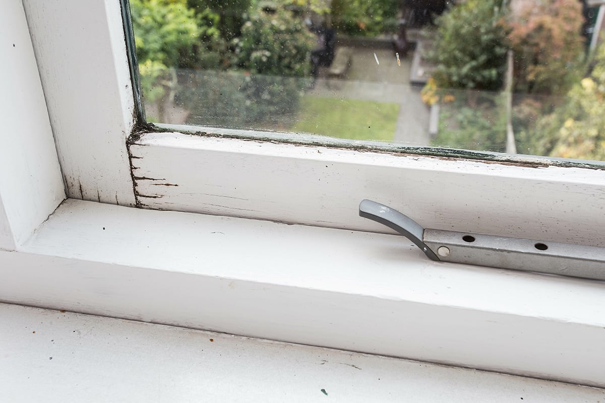 rotting window frame